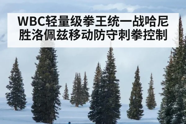 WBC轻量级拳王统一战哈尼胜洛佩兹移动防守刺拳控制