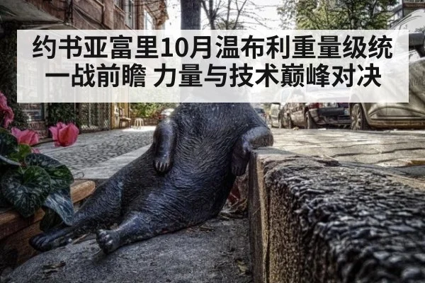 约书亚富里10月温布利重量级统一战前瞻 力量与技术巅峰对决